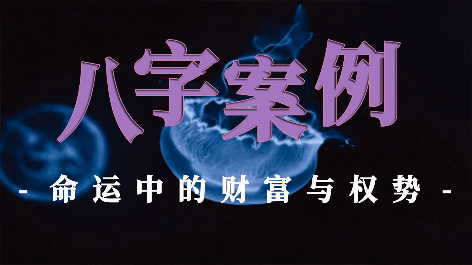 八字案例解析命运中的财富与权势