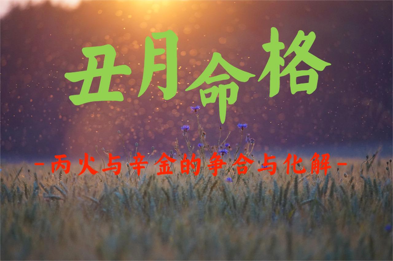 丑月命格：丙火与辛金的争合与化解