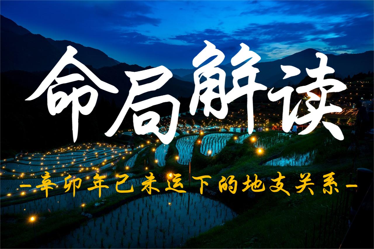 命局解读：辛卯年己未运下的地支关系