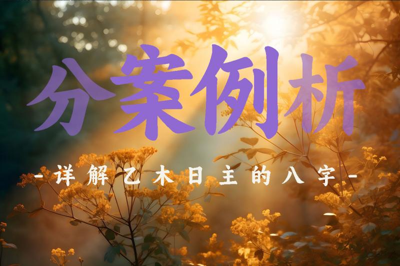 案例分析详解乙木日主的八字