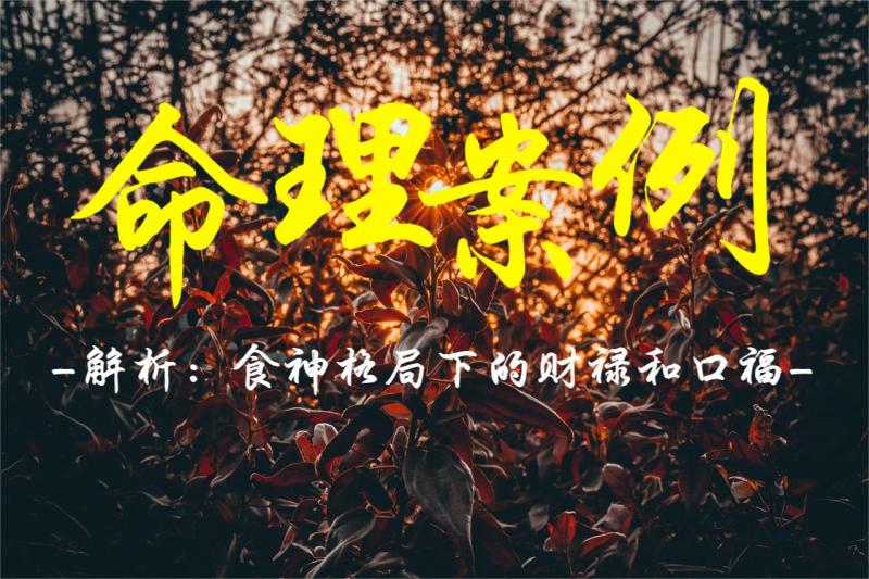 命理案例解析：食神格局下的财禄和口福
