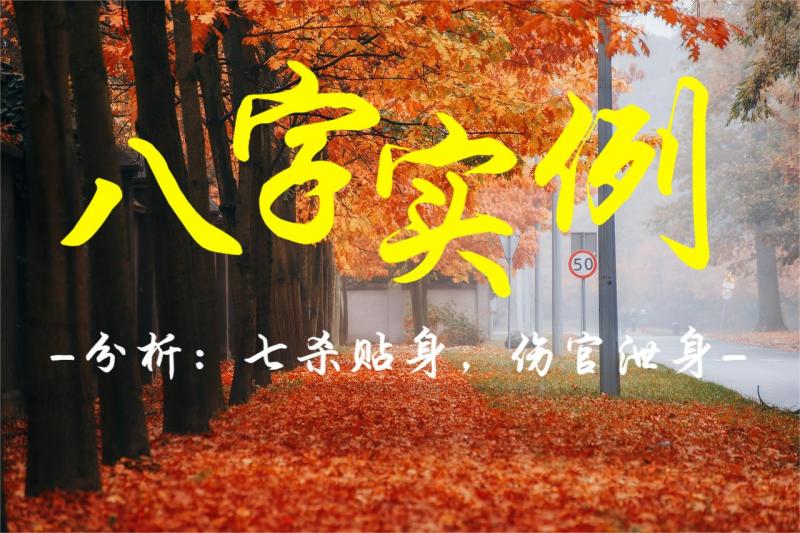 八字实例分析：七杀贴身，伤官泄身