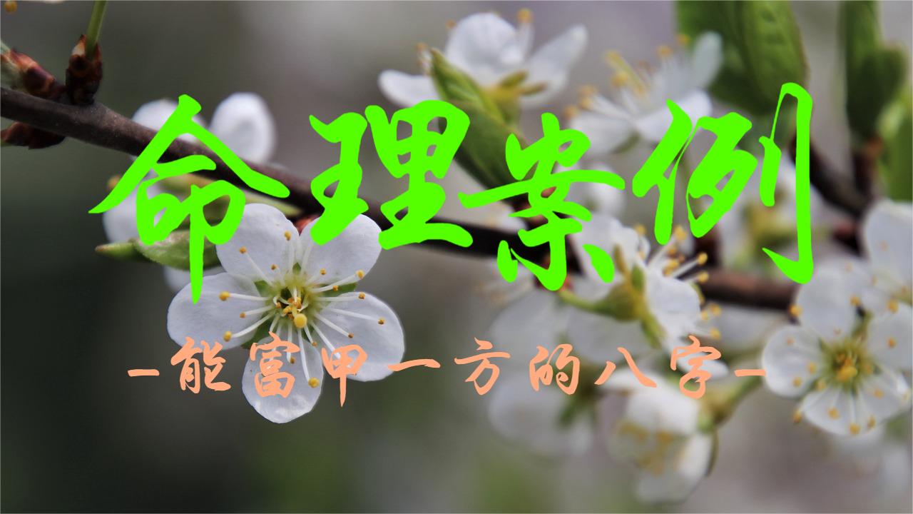 命理案例之能富甲一方的八字