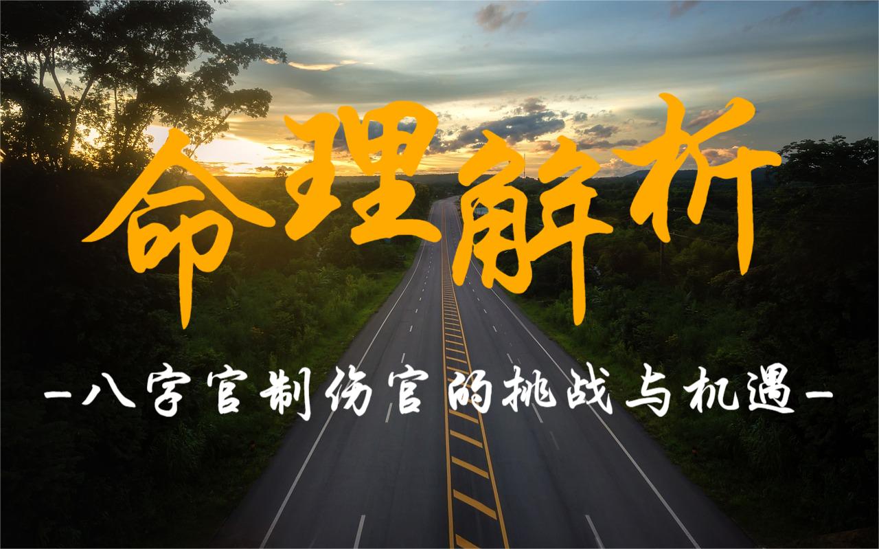 命理解析：八字官制伤官的挑战与机遇